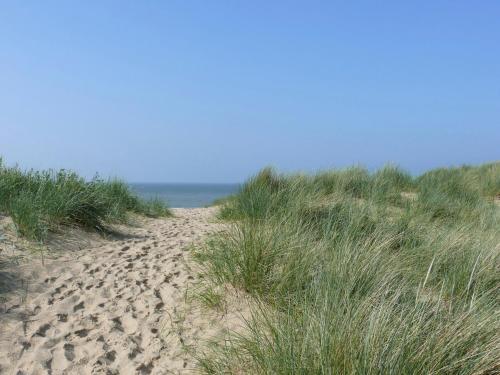 ibis De Panne - image 11