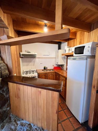 廚房, Euskaldunberri Apartments - Zona centro SMA in 聖馬丁德洛斯安第斯