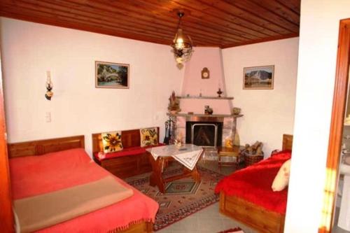 Papigo Astraka II - image 5