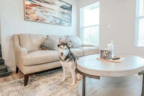 Spacious & Cozy 6br For 14- Lgbtq Friendly Nw38 in Oklahoma City, USA