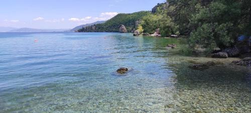 Apartman Trpejca in Trpejca