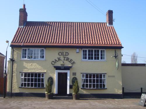 Old Oak Tree