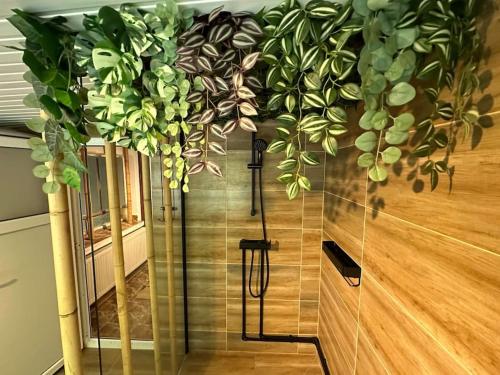 Home and Garden EuroVelo 6 in 羅希斯特