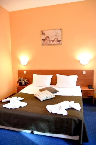 Sveta Sofia Hotel - image 3