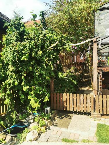 花園, Seeromantik in 阿默靈豪森