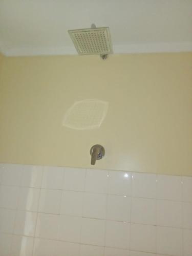 Diggz - Private Townhouse, Garden Views near Junction Mall, Найроби (фото 10)
