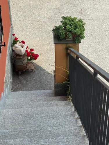 Apkārtne, B&b Al Ciliegio Del Turchino in Mele (Genoa)