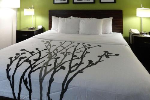 Sleep Inn & Suites Near Columbus State University - Fort Moore Area in Columbus, USA