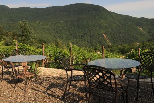 Korenishuli Veranda Wine Hotel 45 km from Tsageri in Tsageri