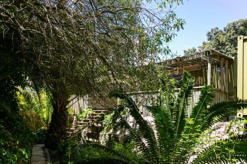Voltants, Camps Bay Forest Pods in Ciutat del Cap