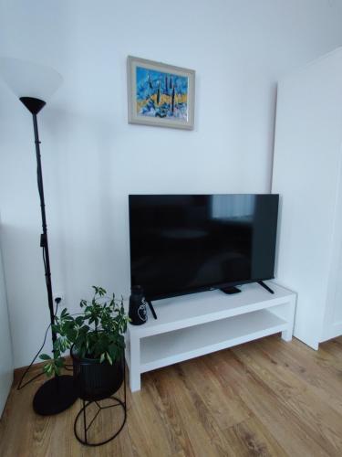 Deluxe Double Studio image 7