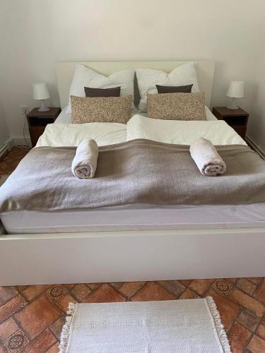 Brancs Rancs - Apartment - Dunabogdány