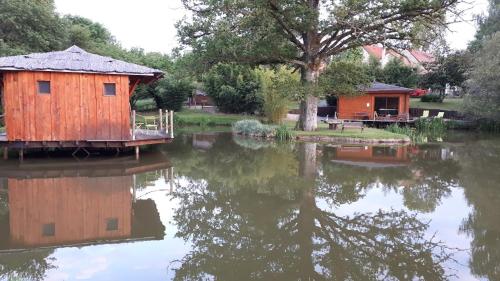 Skats, Le Domaine de la Vergnolle in Roches (Limousin)