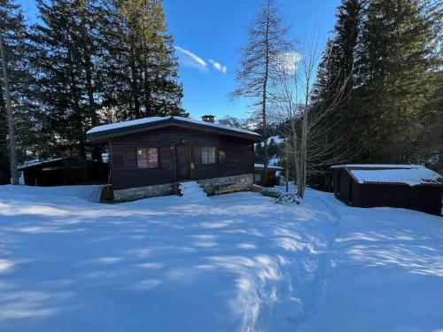 Schönes Chalet in Adelboden, Adelboden (fotografie 7)