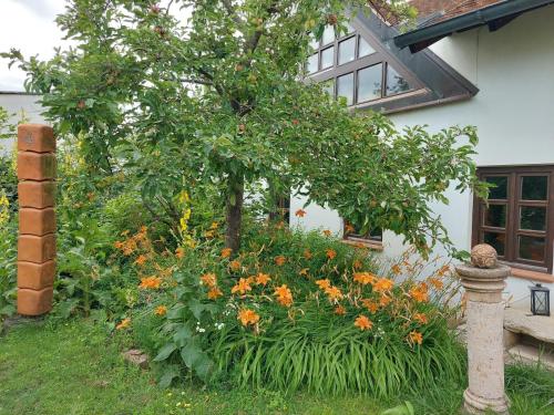 Atelierwohnung ELLE in Schutzen am Gebirge
