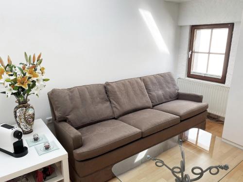Salzburg-Altstadt-Apartement, Salzburg (Foto 3)