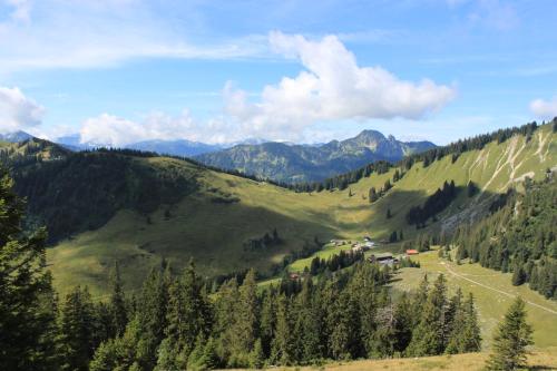 Berggasthof Obere Firstalm - image 11