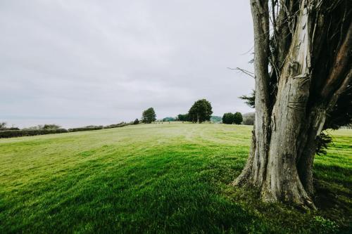 Number 1 Cannons at The Old Dairy Clevedon in Clevedon