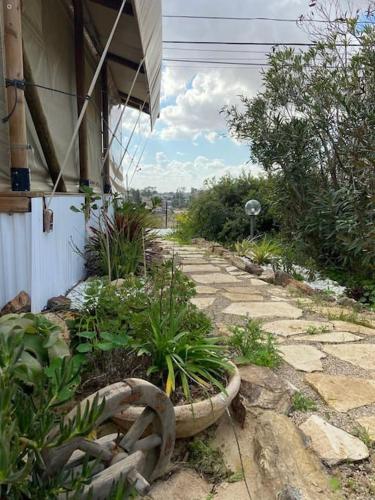 למדבר- חווית גלמפינג במדבר, Arad (foto 9)