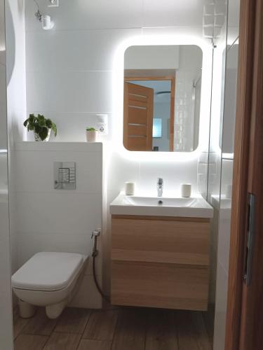 Bathroom, Casa Blanca Apartman III in Balatonfenyves