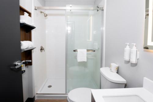 Microtel Inn & Suites by Wyndham Olean - image 6