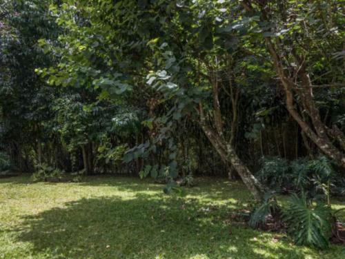 Cozy house in Pinares