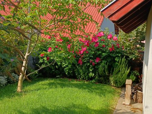 Garden, Casa Blanca Apartman III in Balatonfenyves