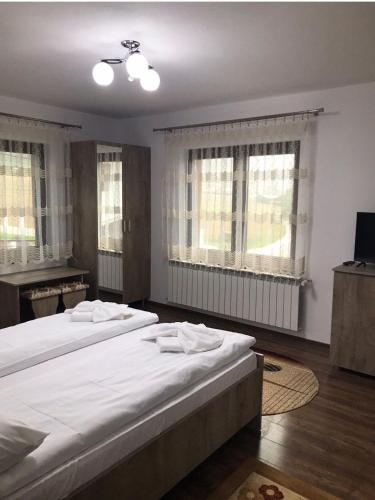 Casă de Vacanță Raul (Casa de Vacanta Raul) in Gura Raului