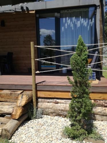 Casa Gaifar piscina Casa Gaifar piscina