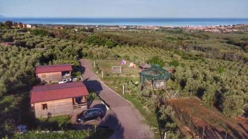 圣巴托洛燕子农场旅馆