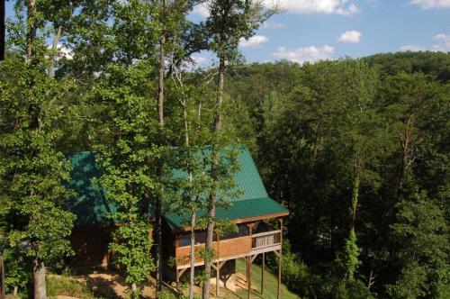 A Bear'S Eye View #251 by Aunt Bug's Cabin Rentals - image 11