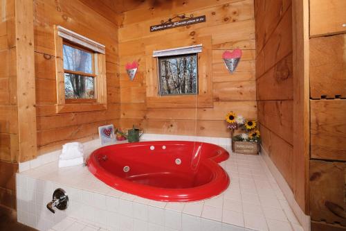 All Tucked Away #114 in Sevierville, USA