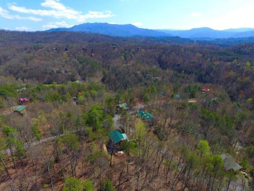 Almost Heaven #205 by Aunt Bug's Cabin Rentals - image 11
