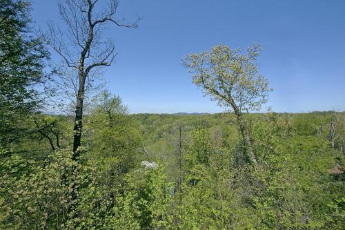 American Dream 142 – Sevierville, TN