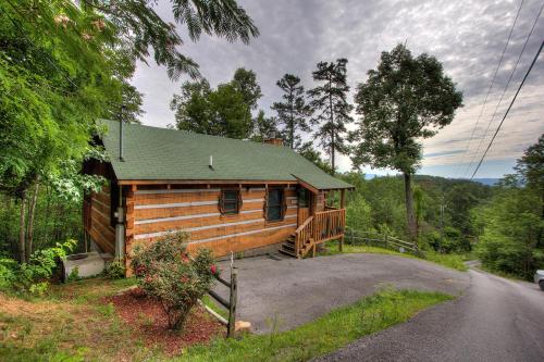 Apple Bear View #116 by Aunt Bug's Cabin Rentals - image 2