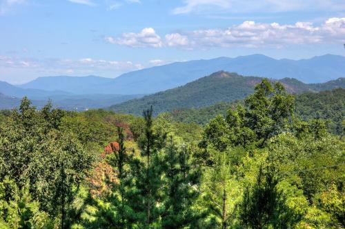 Apple Bear View #116 by Aunt Bug's Cabin Rentals - image 11