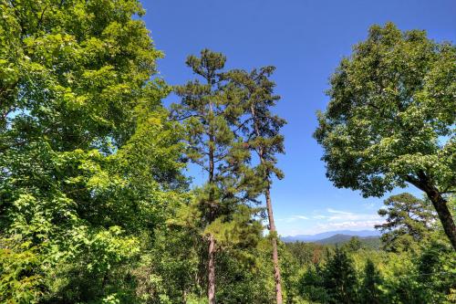 Apple Bear View #116 by Aunt Bug's Cabin Rentals - image 13