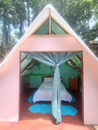 Pirate Drake Beach Hostel & Tour company in Drake Bay