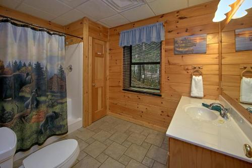 Boulder Bear Lodge #355 by Aunt Bug's Cabin Rentals - image 14