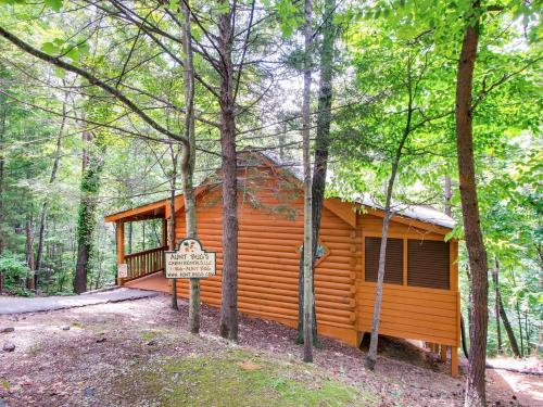 Cabin Fever #117 in Sevierville, USA