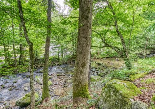 Creek Song #166 in Gatlinburg, USA