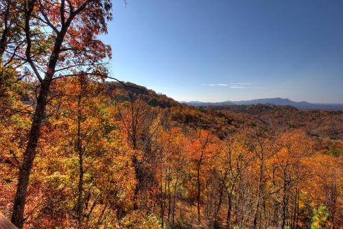 Morning View #131 by Aunt Bug's Cabin Rentals - image 10