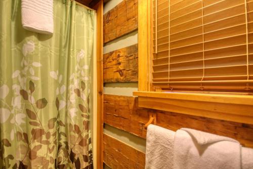 Parkside Party #1676 by Aunt Bug's Cabin Rentals - image 2