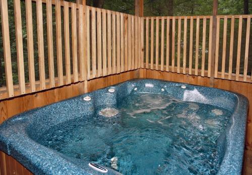 Parkside Party #1676 by Aunt Bug's Cabin Rentals - image 11