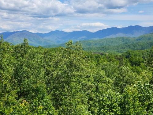 Pooling Around #200, Gatlinburg (Foto 5)