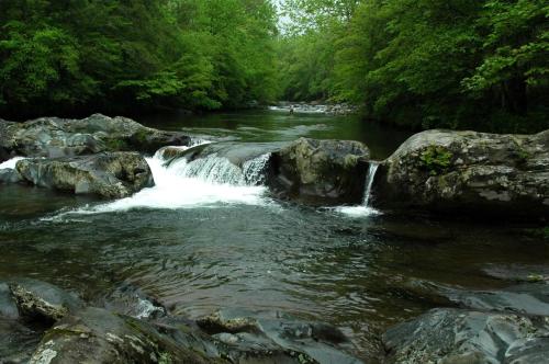 River Dream #466 by Aunt Bug's Cabin Rentals - image 6