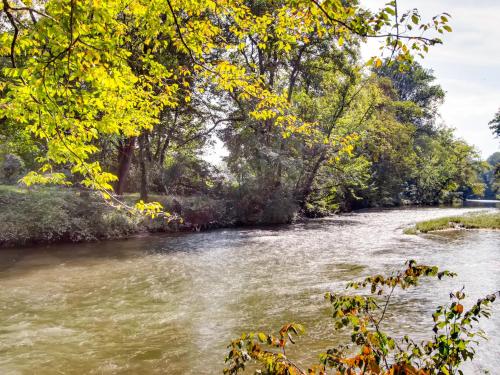 River Getaway #2326 by Aunt Bug's Cabin Rentals - image 6