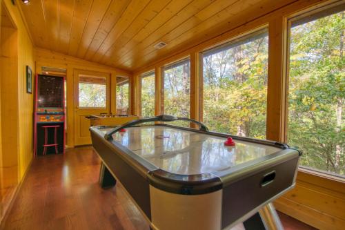 Skinny Dippin' #261 by Aunt Bug's Cabin Rentals - image 6