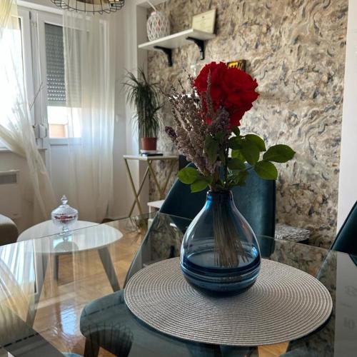 Stan na dan zen Bijeljina