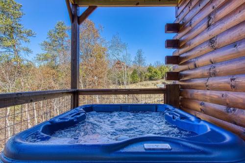 Sun Splash #342 in Sevierville, USA